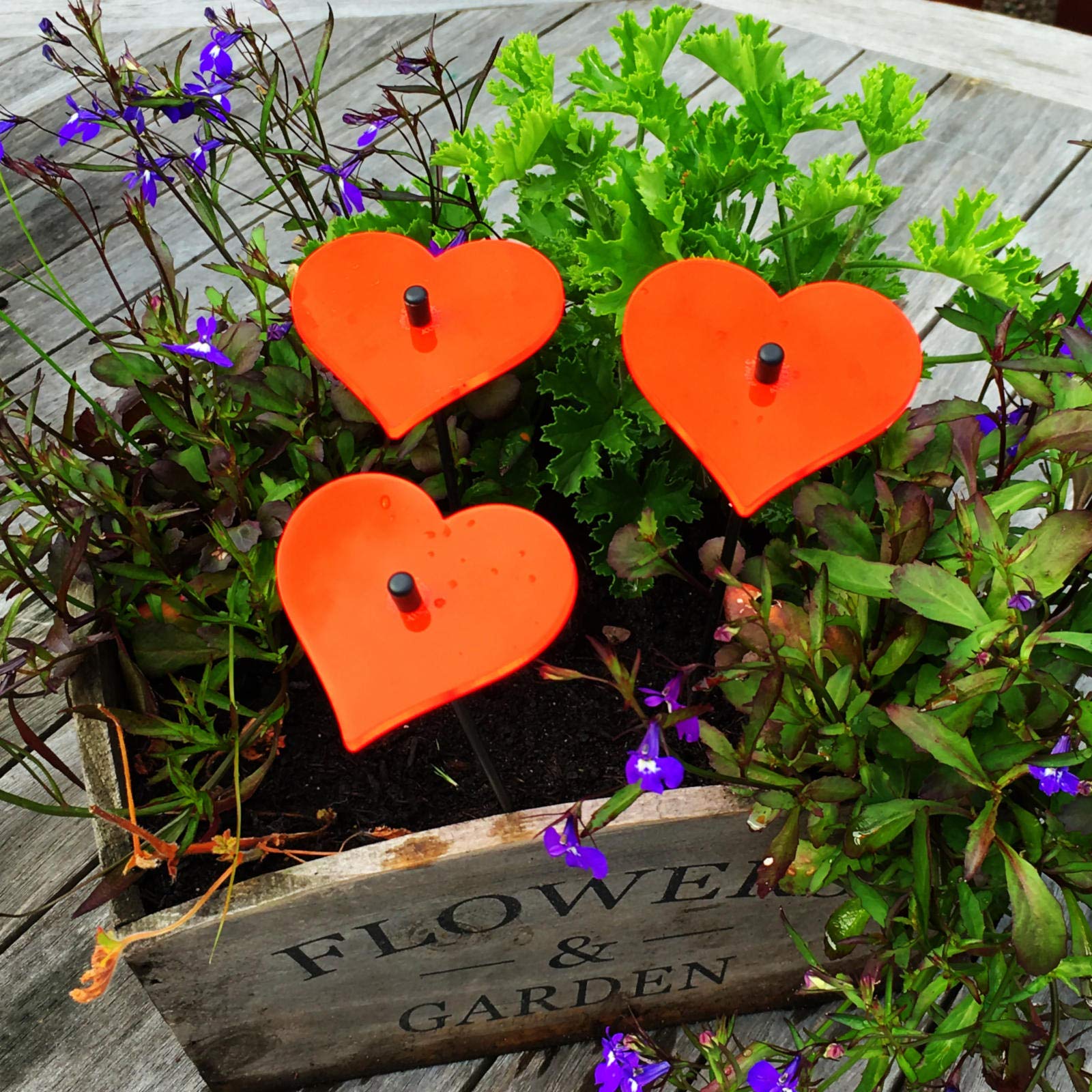 Sun Catcher Garden Decor Ornaments Hearts, Set of 3 Decorative Garden Stakes, 25cm/10'' high Outdoor Yard Accessory, Great Gardeners Gift, Colour:Red — image 1