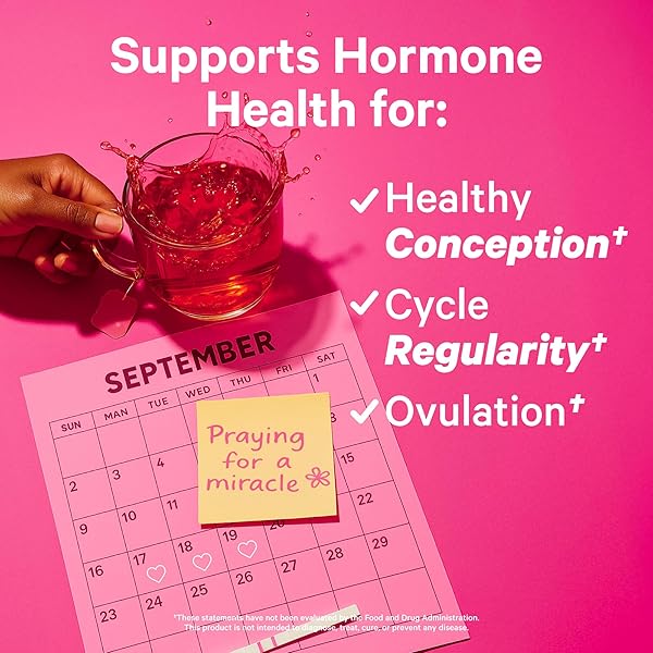 PINK STORK ORGANIC FERTILITY TEA – SUPPORTS CONCEPTION FOR HER & HORMONE BALANCE WITH CHASTE TREE BERRY (VITEX), MINT, AND RED RASPBERRY LEAF – HOT OR ICED – CAFFEINE FREE – SWEET MINT, 15 SACHETS