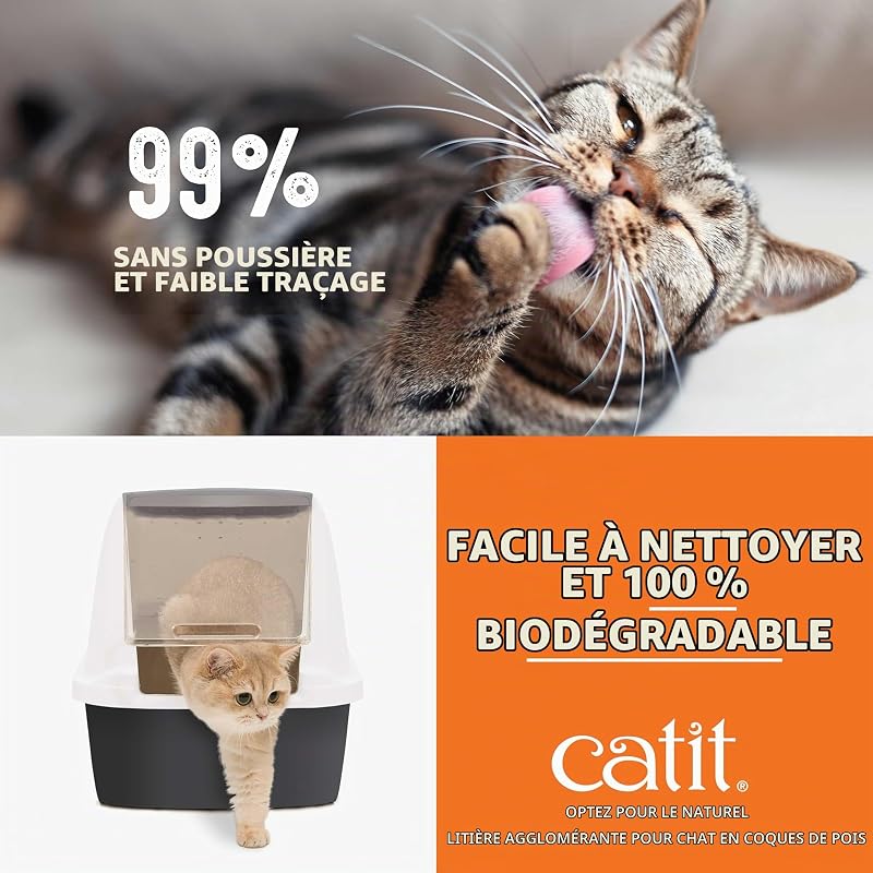 Go Natural, litière pour Chat agglomérante au Parfum de Vanille, à Base de cosses de Pois Naturelles, 99,9 % sans poussière, Forte neutralisation des odeurs, Facile à ramasser, 5,6 kg