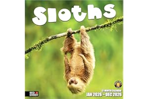 RED EMBER Sloths 2026 Wall Calendar 12 Month | 12" x 24" Open | Thick & Sturdy Paper | Giftable | Calendar 2026