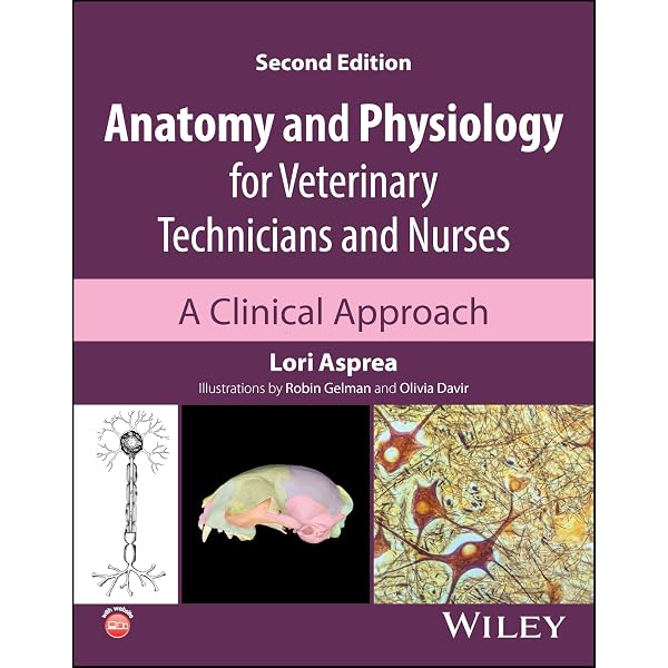 Clinical Kinesiology and Anatomy: 9781719644525: Medicine & Health
