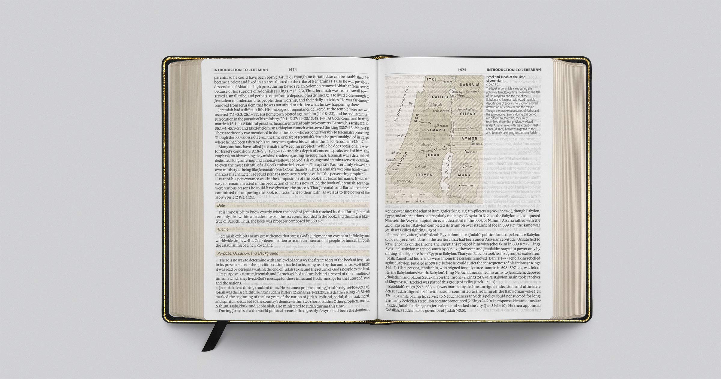 ESV Study Bible, Large Print (Genuine Leather, Black) ESV Study Bible, Large Print (Genuine Leather, Black) Leather Bound