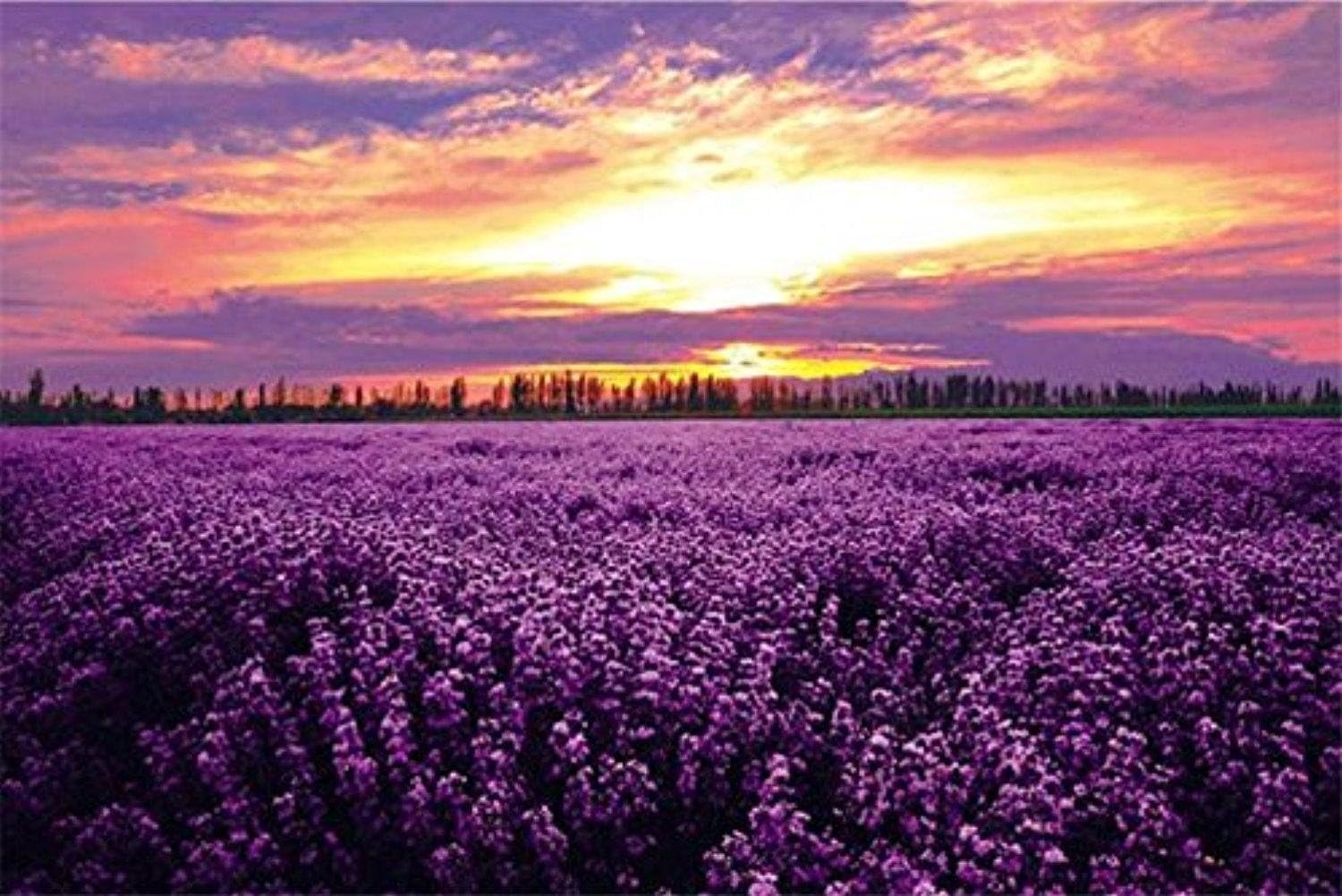 Queenie® Colorful 1000 Piece Purple Lavender Flowers Sea Field Sunset Landscape Adults Games Wooden Jigsaw Puzzles, Finish Size 30''x20''
