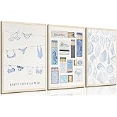 3Pcs Trendy Coastal Canvas Wall Art Blue Seashell Bikini Coquette Matchbox Painting Wall Decor Coastal Granddaughter Aesthetic Poster Print for living room Preppy Dormitory Bedroom Home Decoration