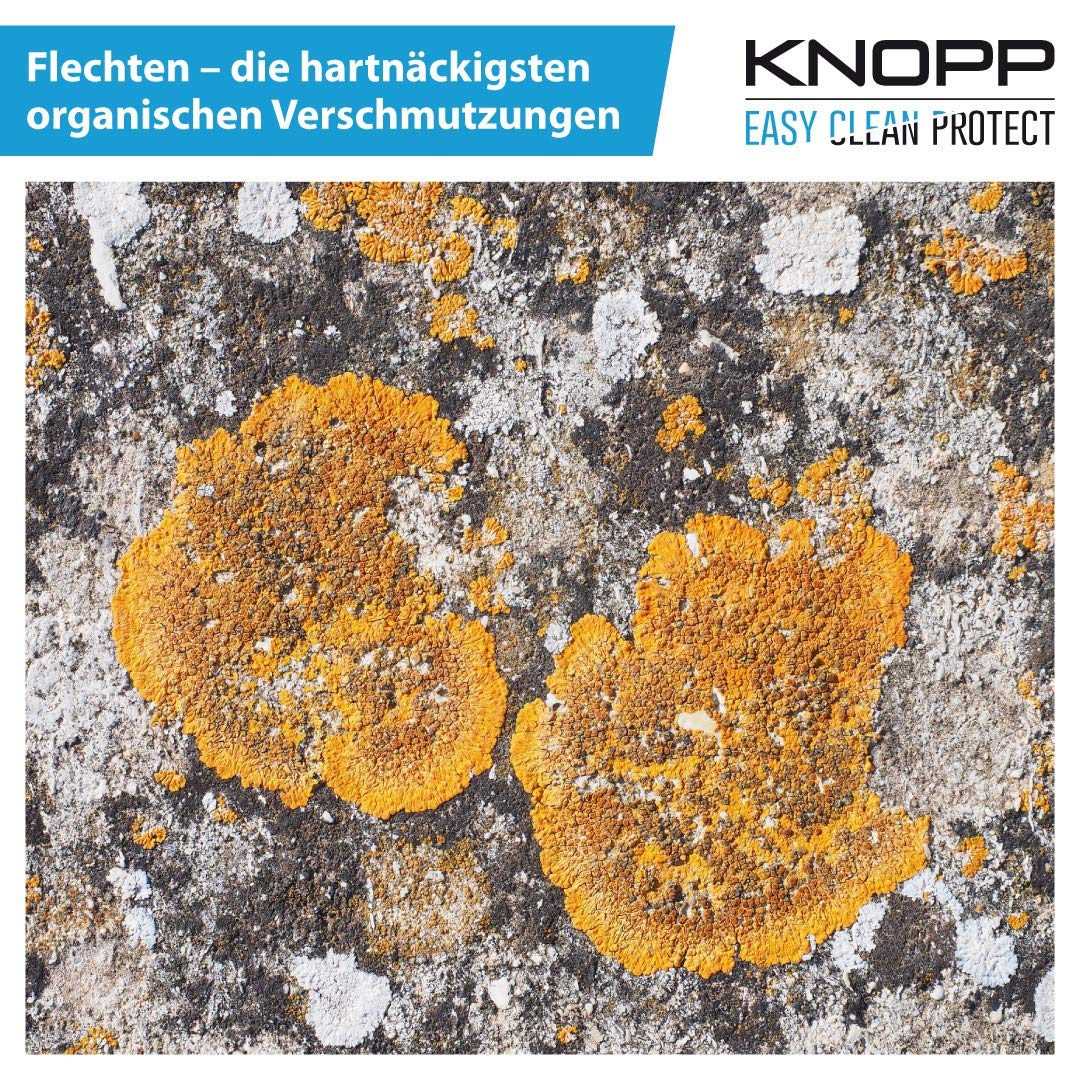 KNOPP Flechtenentferner, Flechtenex, Terrassenreiniger, Pflastersteinreiniger, Waschbetonplattenreiniger, Grünbelagentferner, Algenentferner, Algenvernichter, Steinreiniger; gebrauchsfertig, 1l 9