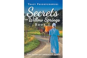 Secrets of Willow Springs: Book 1: An Amish Christian Book (The Amish of Lawrence County)
