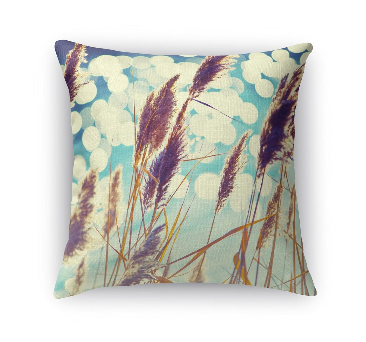 Amazon Com Kavka Designs See Spot Run Accent Pillow Blue Brown