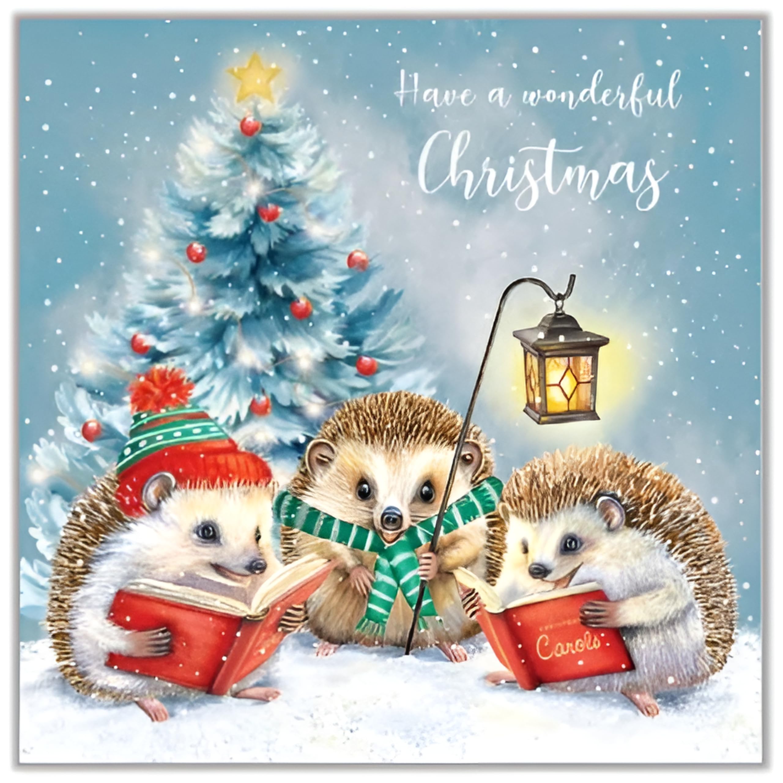 Noel Tatt Charity Christmas Cards Pack of 10 - Cute Hedegehogs Carol Singing - Festive Christmas Cards Multipack - In Aid of UK Charities