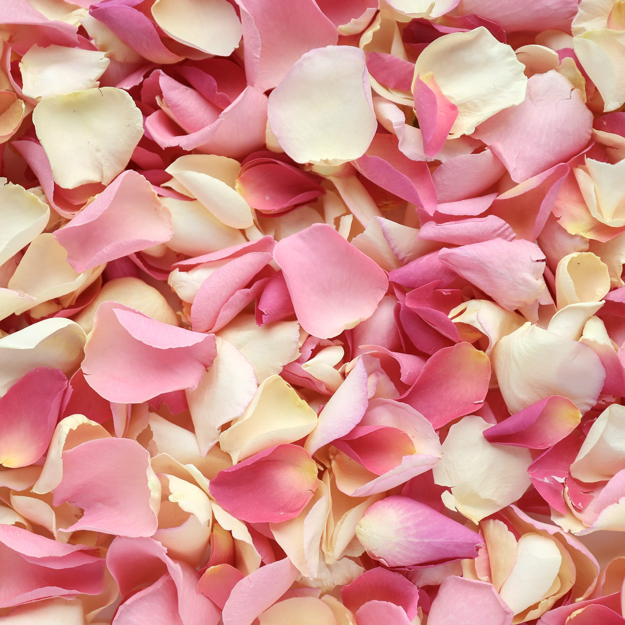 Petals and Roses Freeze Dried Rose Petal Confetti | Natural & Biodegradable for Weddings, Blushing Pink Mix, 1 Litre