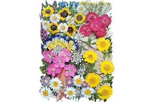 AHTONG 100 PCS Real Dried Pressed Flowers Leaves Natural Plant Herbarium for DIY Resin Mold Jewelry Making Craft (20 Styles)