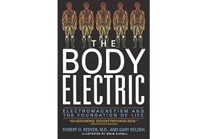 The Body Electric: Electromagnetism And The Foundation Of Life