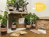 Love Rustic Set of 3 Indoor Herb Garden Jars Mint Basil Coriander Kit view 2
