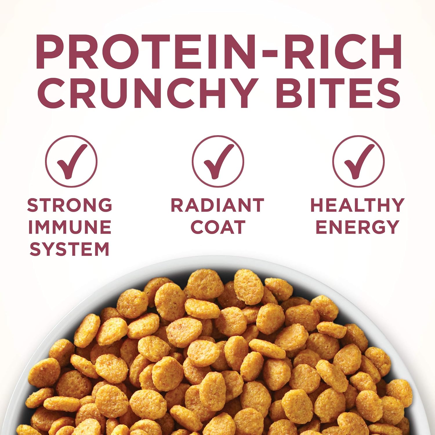 Purina ONE High Protein Dry Cat Food, Urinary Tract Health Formula - 16 lb. Bag : Dry Pet Food : Pet Supplies