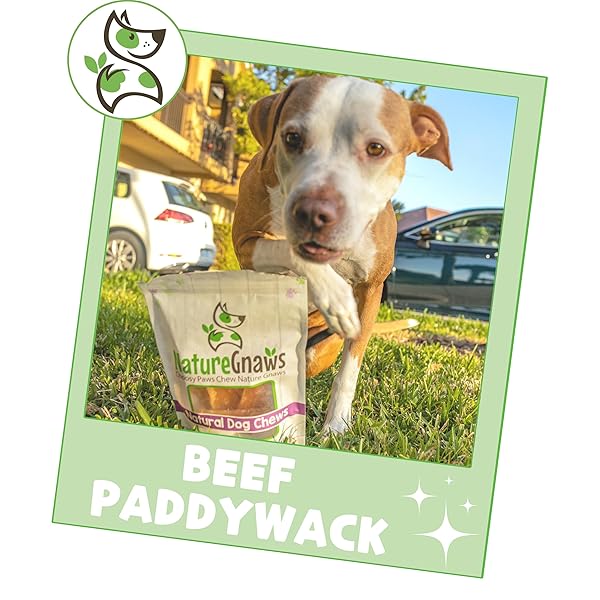 NATURE GNAWS BEEF PADDYWACK TENDONS FOR DOGS 5-6″ (5 COUNT) – LONG LASTING FOR AGGRESSIVE CHEWERS – NATURAL BEEF DOG CHEW BONES – RAWHIDE FREE