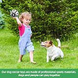 HETOO Interactive Dog Football Ball Toy 5 Inch Water Floating PU Ball view 2