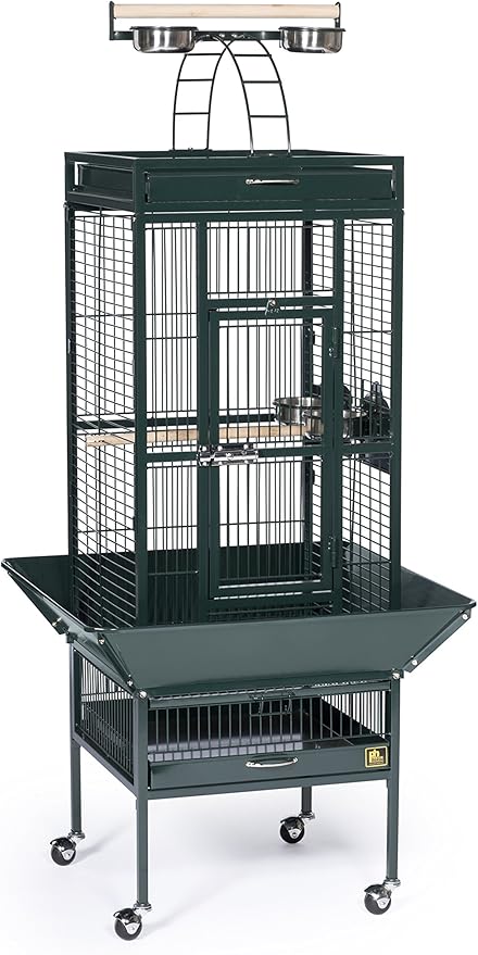 prevue pet products wrought iron select bird cage