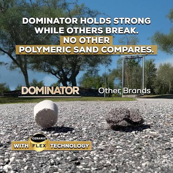 10 POUND CAMEL BROWN DOMINATOR POLYMERIC SAND WITH REVOLUTIONARY CERAMIC FLEX TECHNOLOGY FOR STABILIZING PAVER JOINTS/GAPS, 1/8” UP TO 4”, PROFESSIONAL GRADE RESULTS