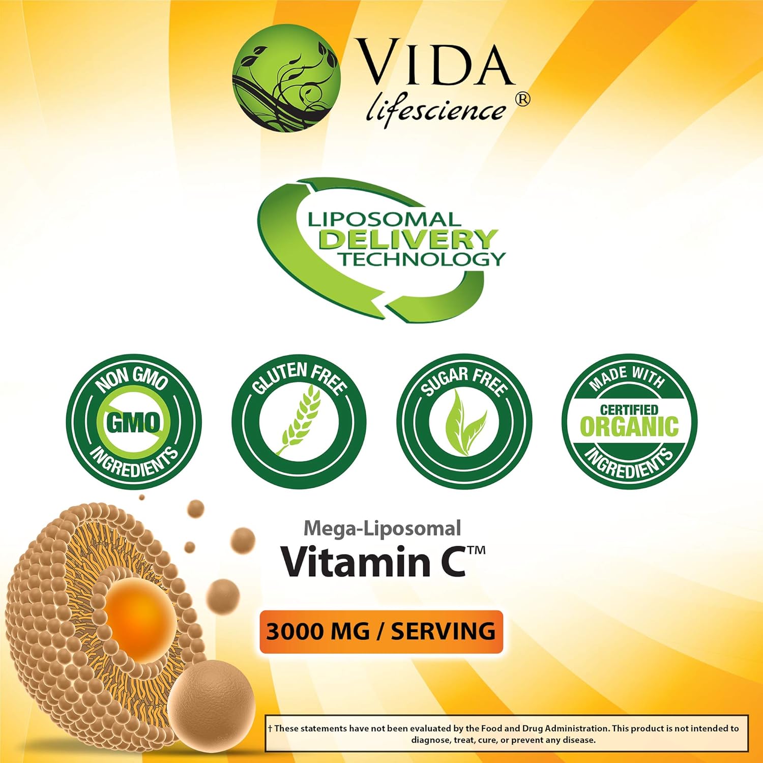 Aurora Nutrascience Mega Liposomal Vitamin C 3000 mg per Serving 16 oz