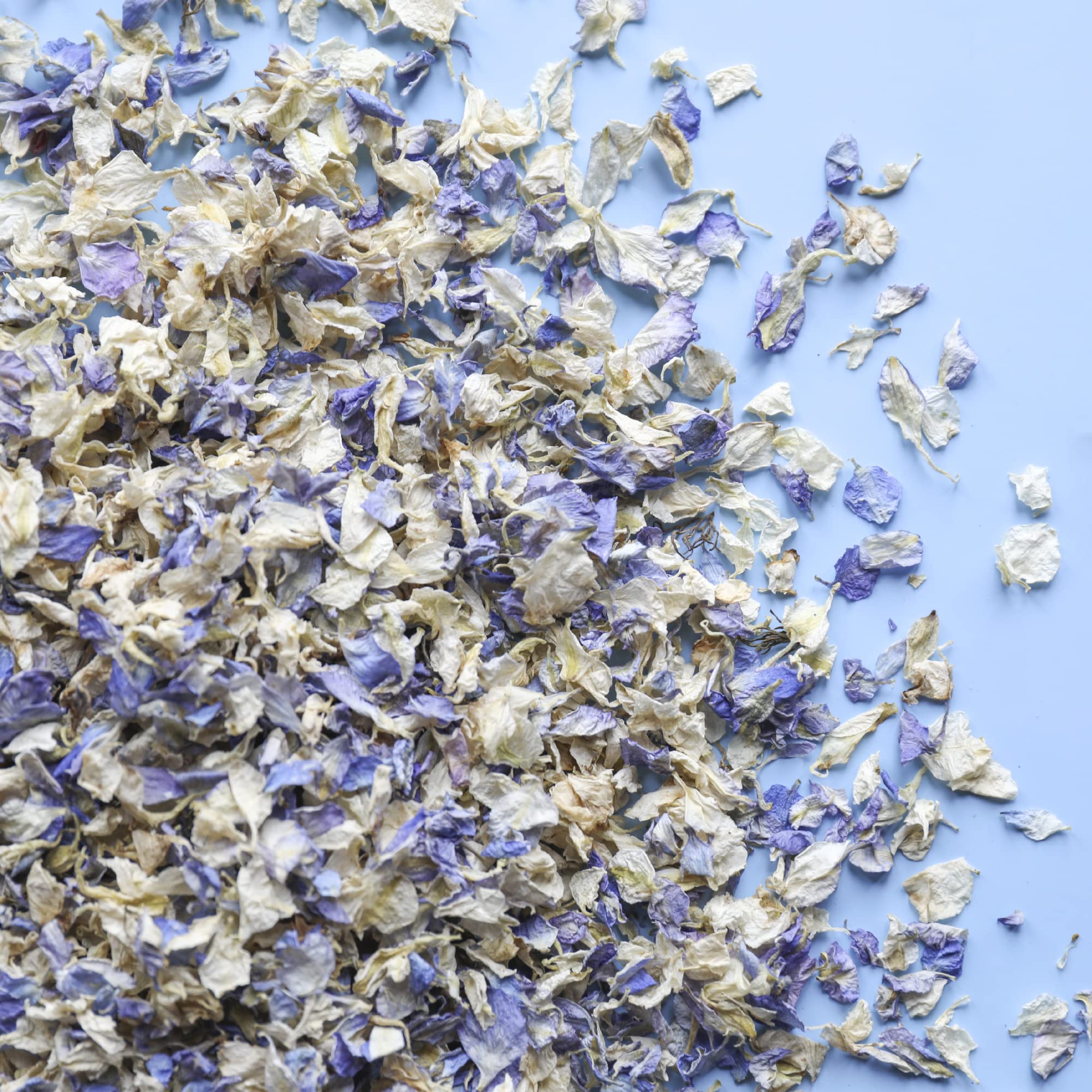 Flower Confetti NATURAL DRIED FLOWER PETAL WEDDING CONFETTI - BIODEGRADABLE- 1 LITRE (Pastel Blue & Ivory)