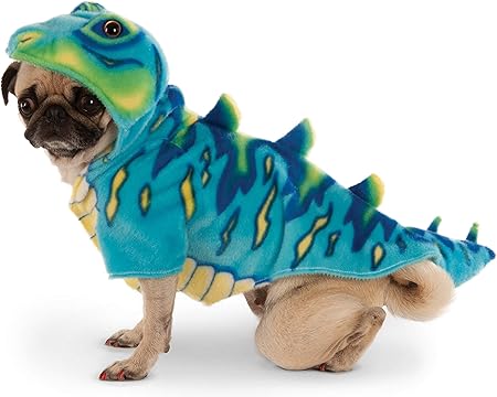 dino pet amazon