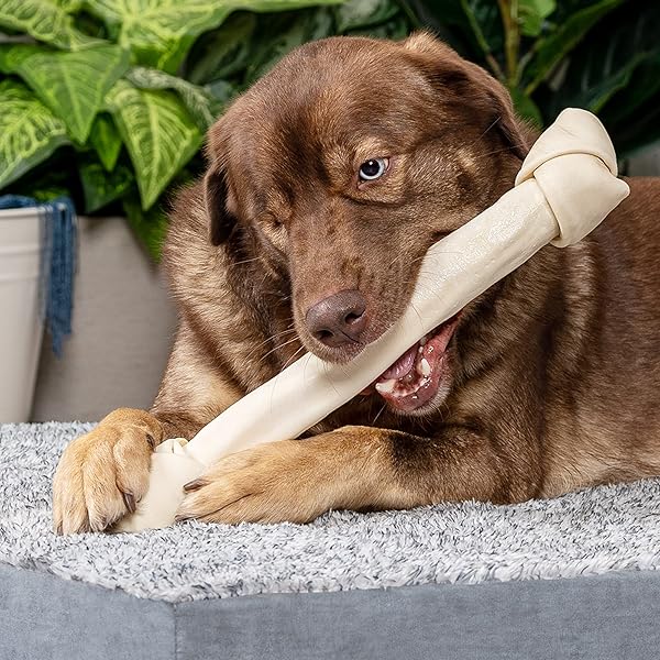 PET FACTORY 100% MADE IN USA BEEFHIDE 15-17″ KNOTTED BONE DOG CHEW TREAT – NATURAL FLAVOR, 1 COUNT/1 PACK