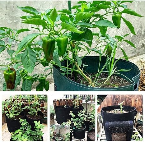 ZLEW 6pcs 10/7/4 Bolsa de siembra Tomate al aire libre Fresa vertical