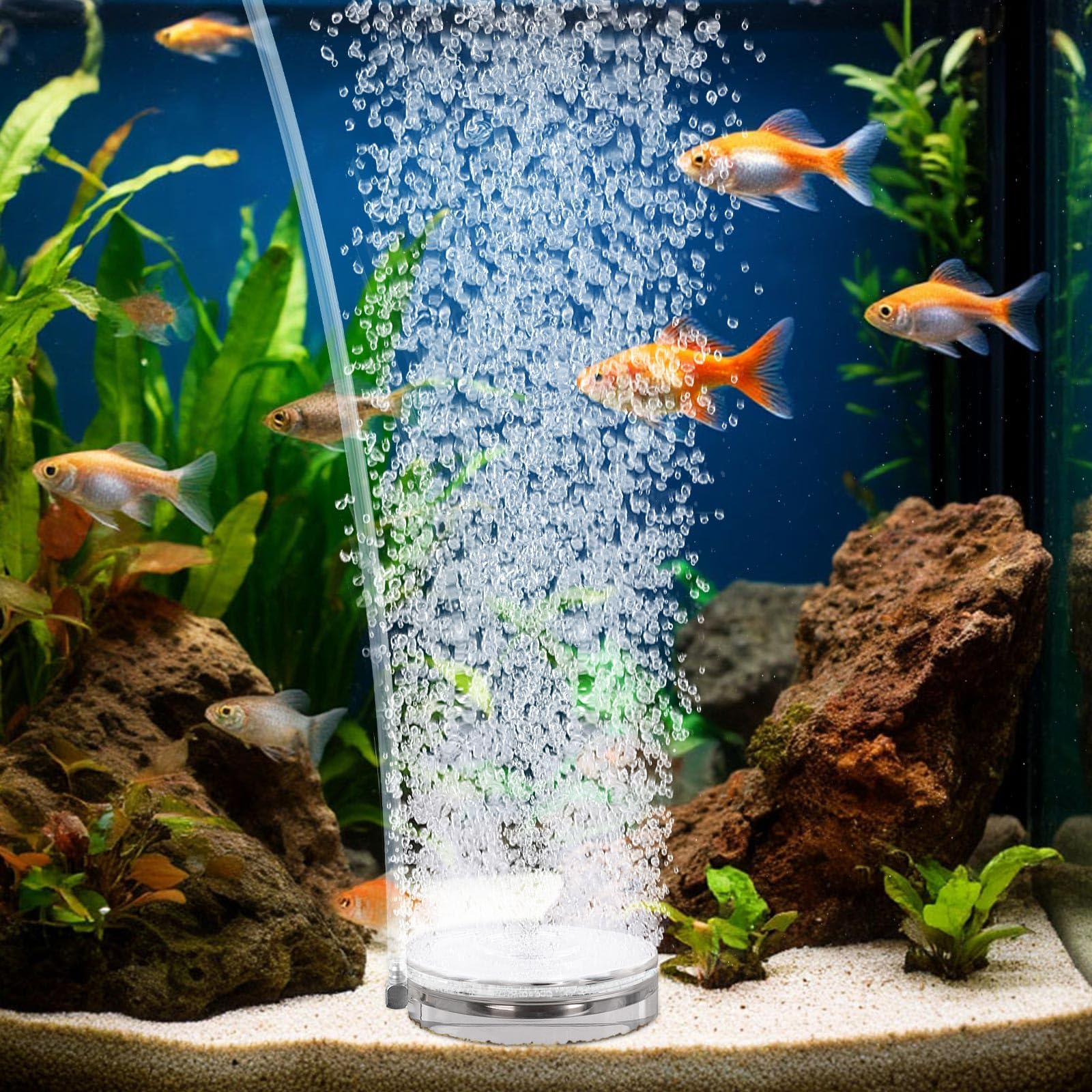 Photo 1 of hygger Air Stones for Aquariums, Transparent Acrylic Fish Tank Bubbler Kit with Air Tube, Ultra Silent Bubble Stone Super-High Dissolved Oxygen Diffuser for Aquarium Fish Tank and Hydroponic