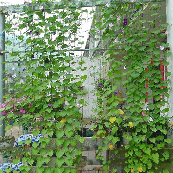 Malla de jardín Nylon malla de celosía, escalada Vine Net para ...