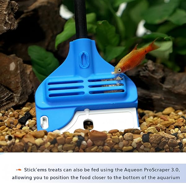 AQUEON STICK’EMS FREEZE-DRIED COLOR BOOSTING PET FISH TREAT , 0.42 OZ