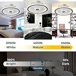 CHANFOK Ceiling Fan with Lights and Remote, Modern