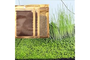 ZUQOVI 3 Pack Aquarium Plant S.e.e.d Set, Aquarium Carpet,not Artificial Plastic Plant. for Fresh Water Fish Tank ZQ21