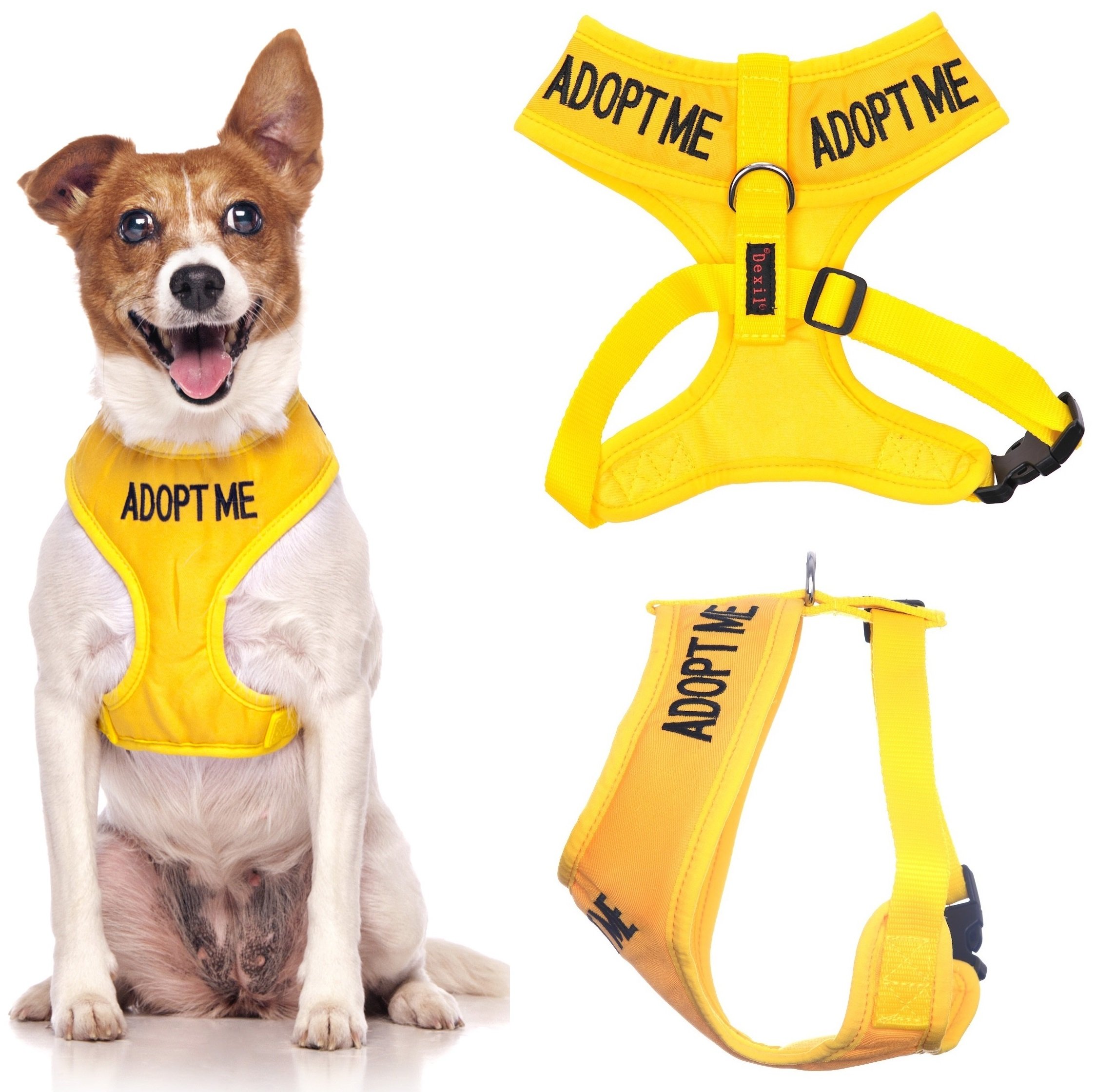 ADOPT ME (I Need A New Home) Yellow Colour Coded Non-Pull Front and Back D Ring Padded and Waterproof Vest Dog Harness PREVENTS Accidents By Warning Others Of Your Dog In Advance (M) โ image 1