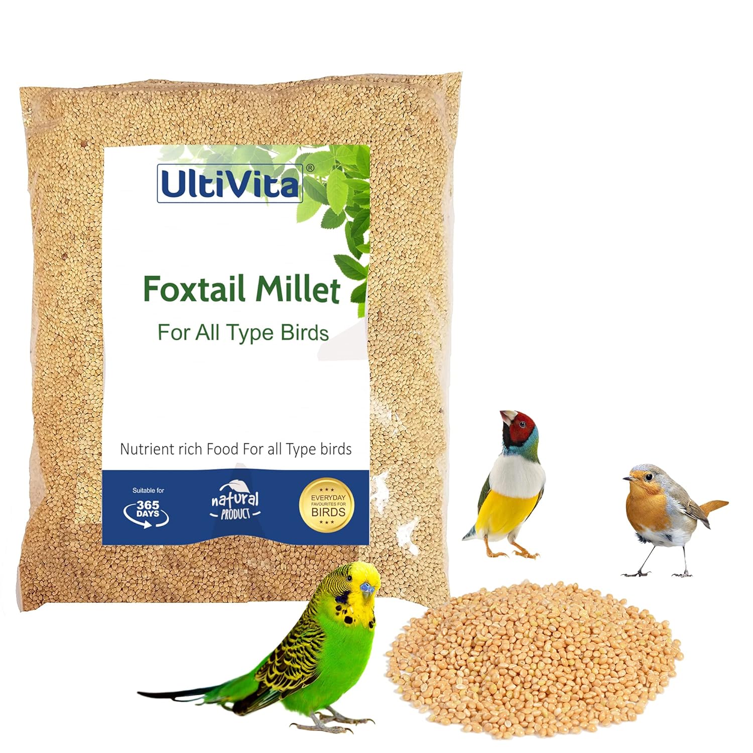 Buy Ultivita Foxtail Millet Bird Food (950 Gm) Online at Low Prices in India Amazon.in