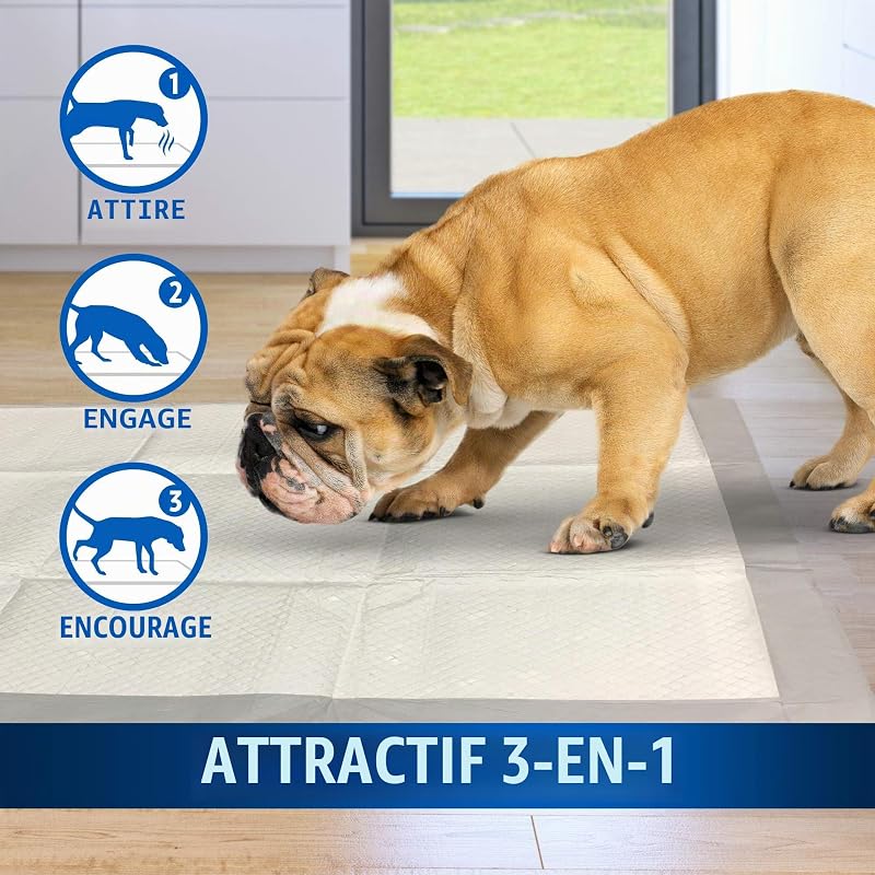 Allez ici Coussinets absorbants pour animaux de compagnie et chiots | 100 Pads