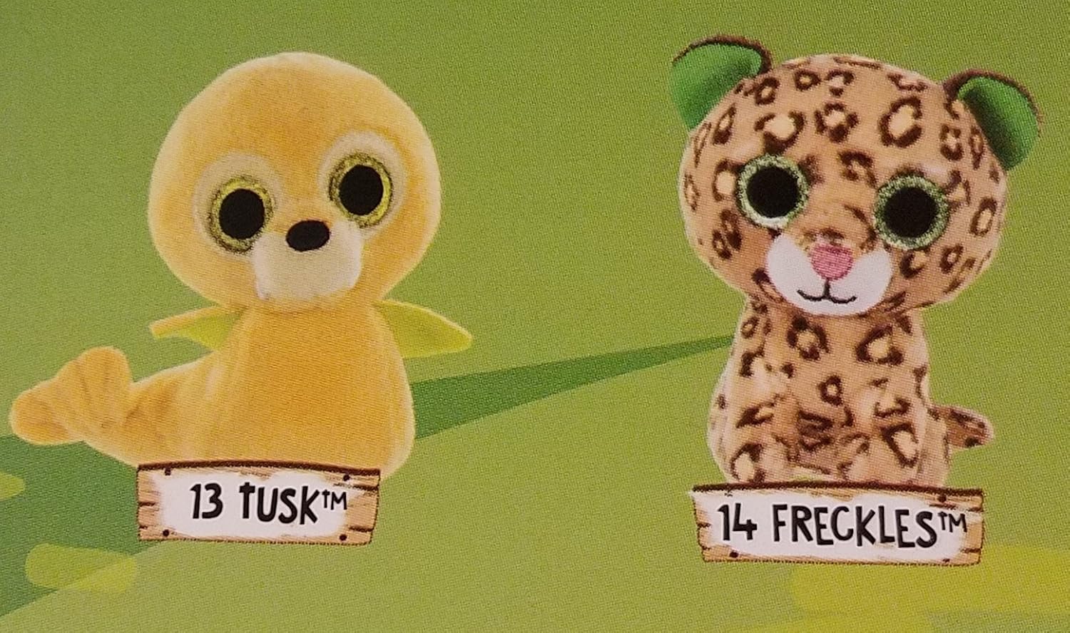 freckles beanie boo birthday