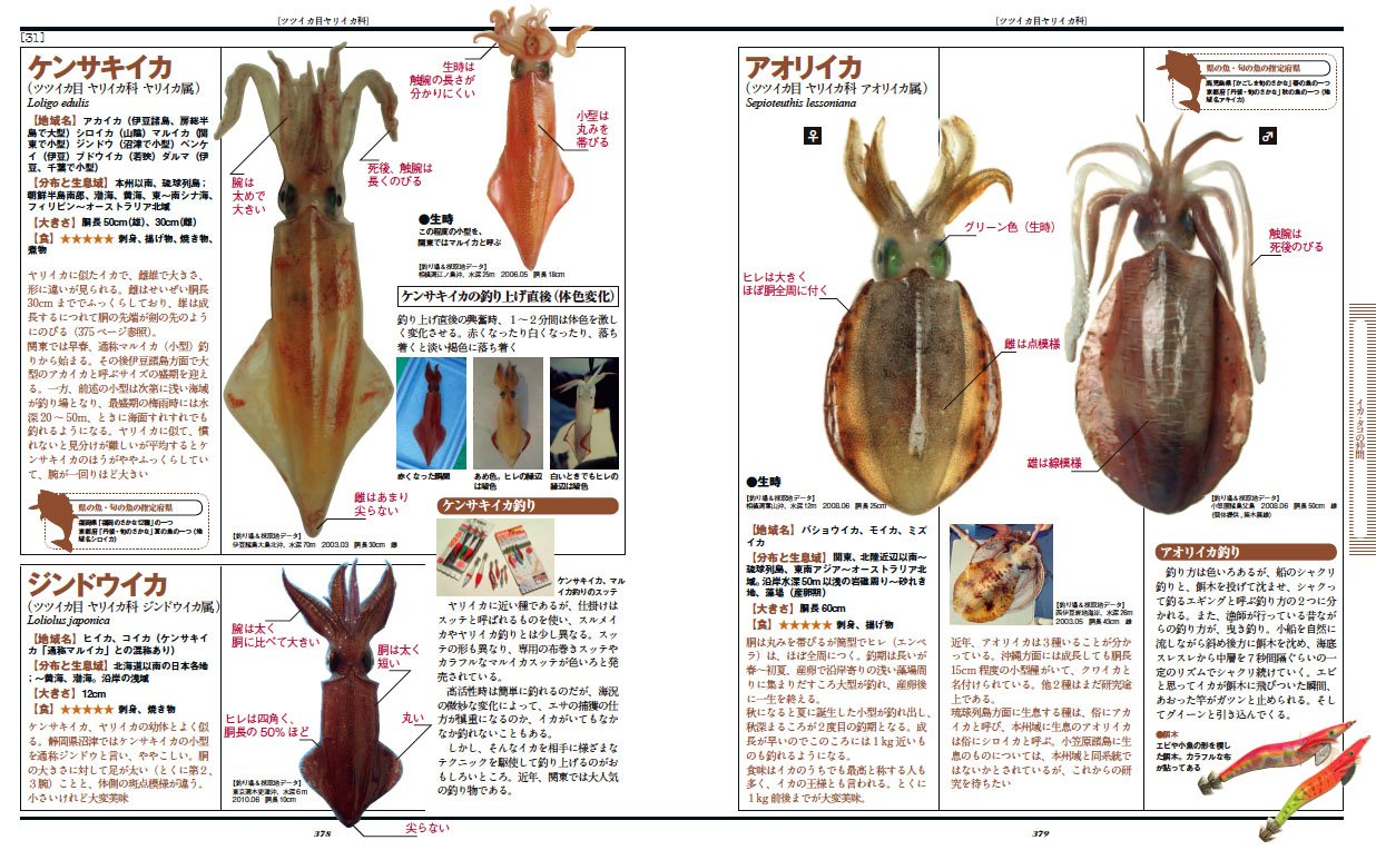 海の魚 大図鑑 石川 皓章, 瀬能 宏, 隔週刊つり情報編集部 本