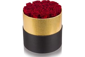 PERFECTIONE ROSES Red Roses in Box Handmade Preserved Rose That Last 2 to 3 Years, Long Lasting Rose Valentines Day Gifts for Her Birthday Gifts for Wife Christmas Day Gifts