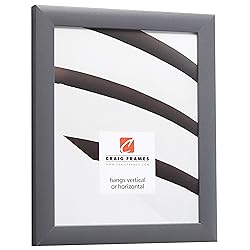 Craig Frames 23247635 24 x 36 Inch Grey Picture