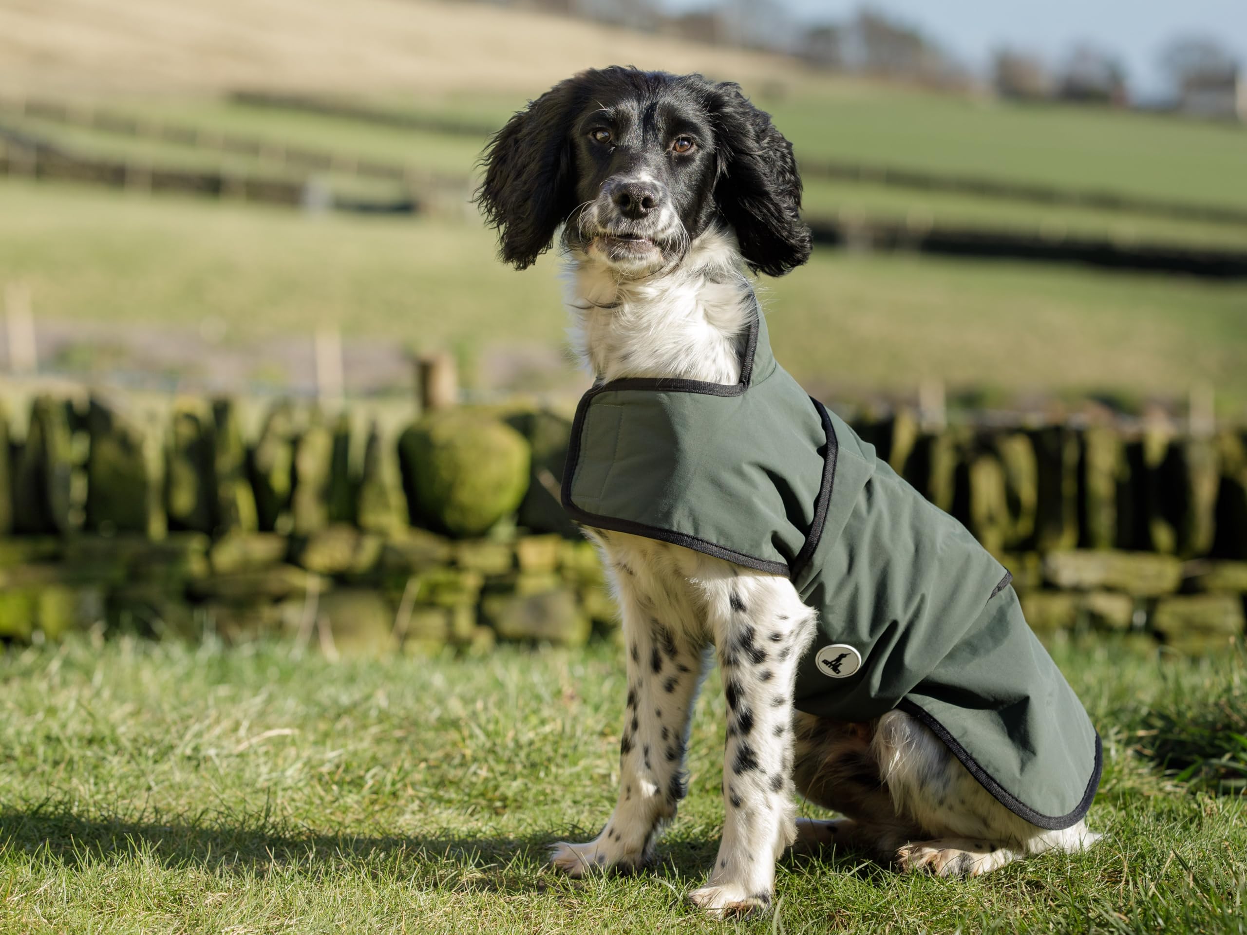 Dog & Field 2-in-1 Waterproof Dog Coat - Green. Microfiber Lined Dog Drying Coat, Winter Dog Raincoat. Waterproof Coat For Dogs, Warm Waterproof Jacket For Dogs, Machine Washable - L โ image 1