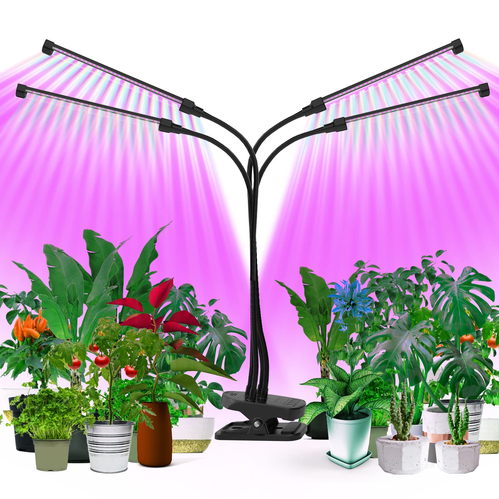 Grow Light for Plant