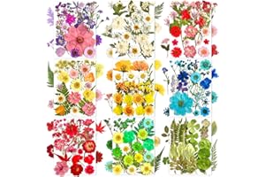 MIKIYA 182Pcs Dried Pressed Flowers for Resin Molds, Assorted Real Natural Bulk Dry Floral Leaves for DIY Art Crafts, Epoxy Jewelry, Candle, Soap Making, Nails Decors Gifts