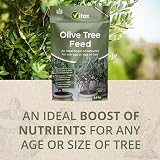 Vitax Olive Tree Feed 0.9Kg Organic Based for Borders Pots & Containers view 4