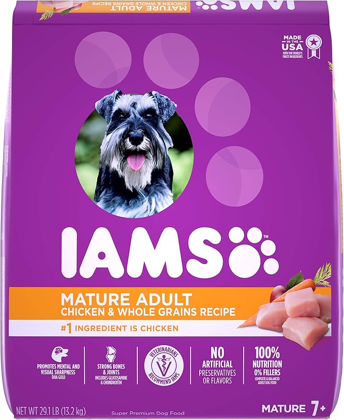 iams labrador retriever