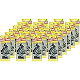 Car-Freshner Little Trees, Blackberry Clove, Pack of 24