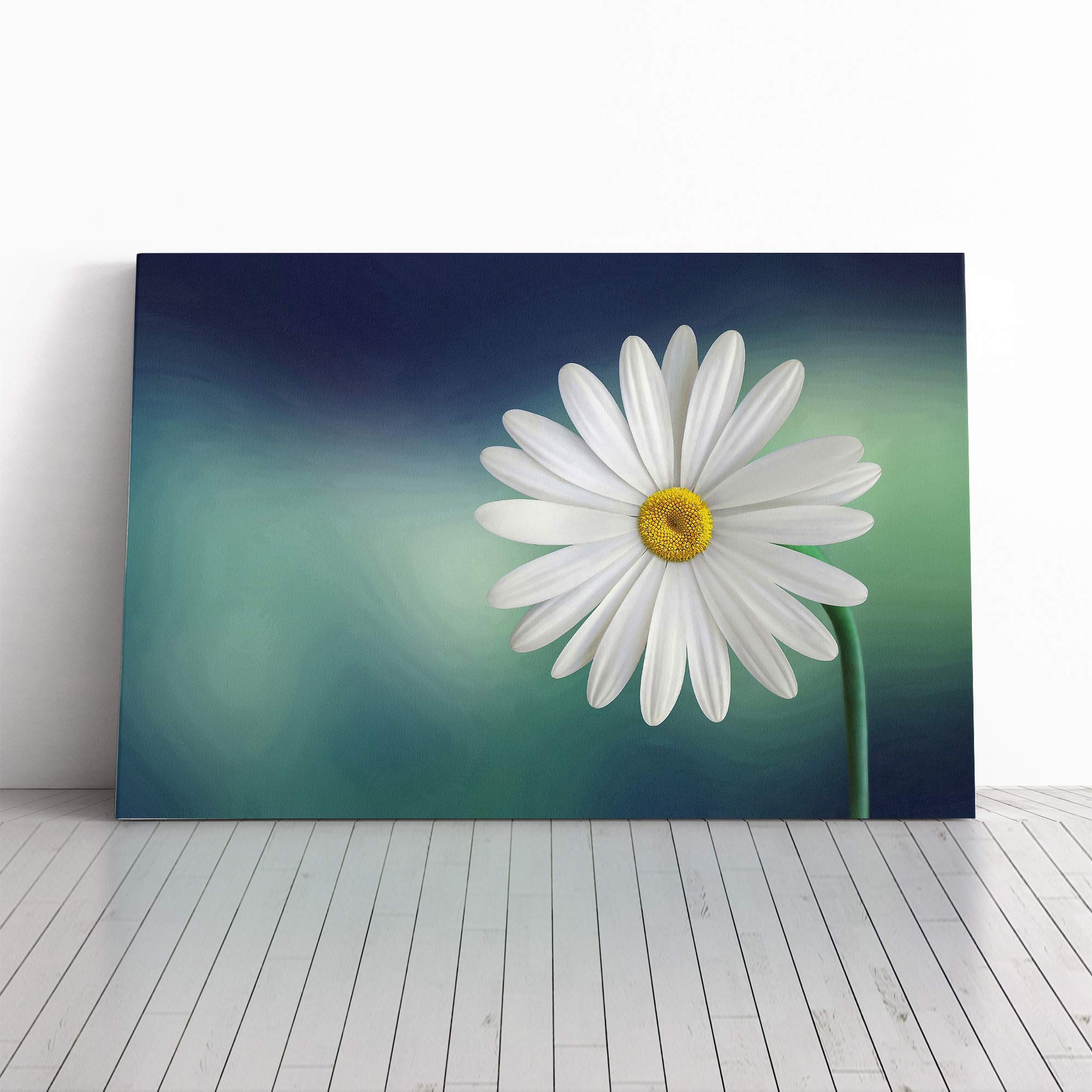 Flower Beautiful White Daisy Canvas Print | Gallery Wrapped 30mm Frame Wall Art | 20x14 inches | Ready to Hang | Modern Floral Picture | Living Room Bedroom Lounge Office