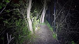 Review Image by Mauro Mauro