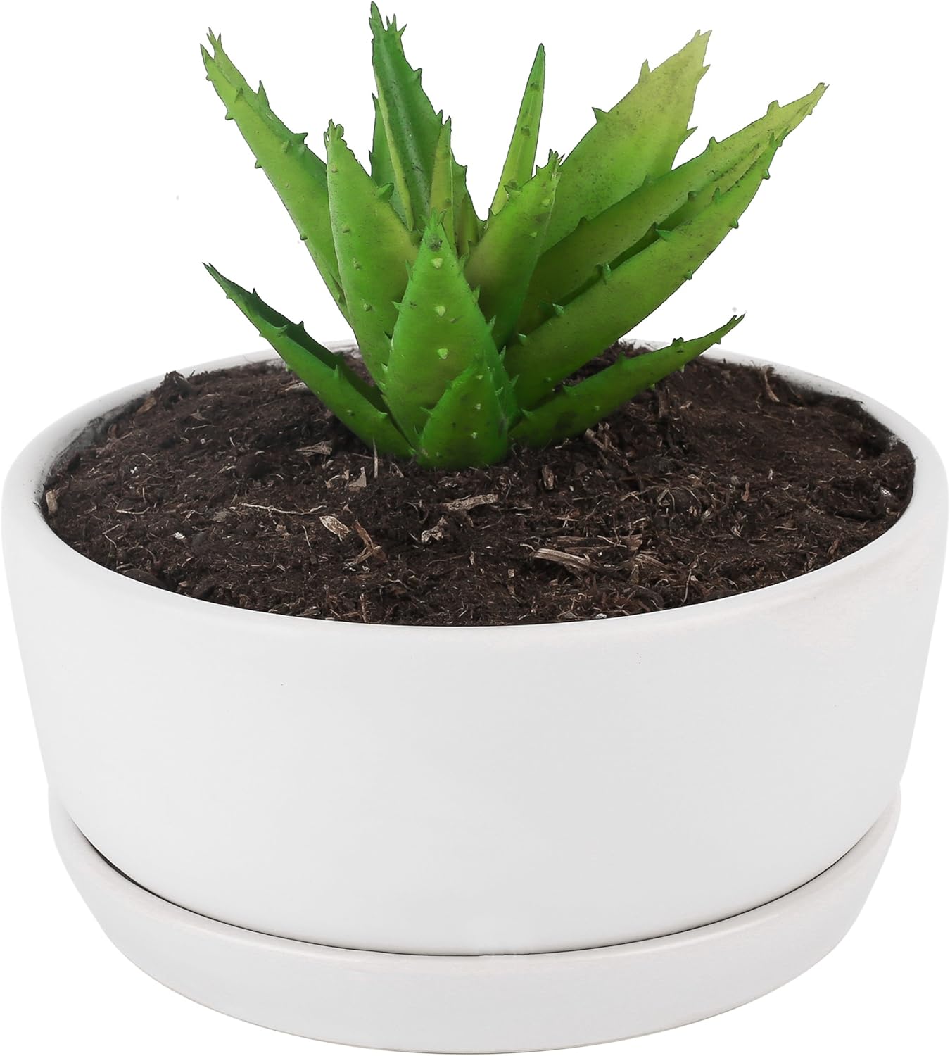 Pure.Lifestyle 6.5" Ceramic Ivory White Round Succulent Cactus Plant