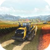 New Farm 2017