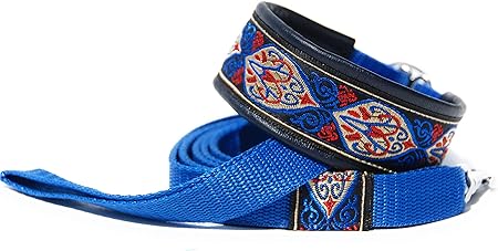 italian greyhound martingale collar