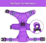 PoyPet No Pull Dog Harness Reflective Easy On Front Back D Ring L Purple view 6